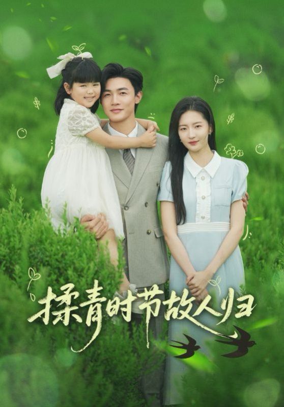 揉青时节故人归(全集)