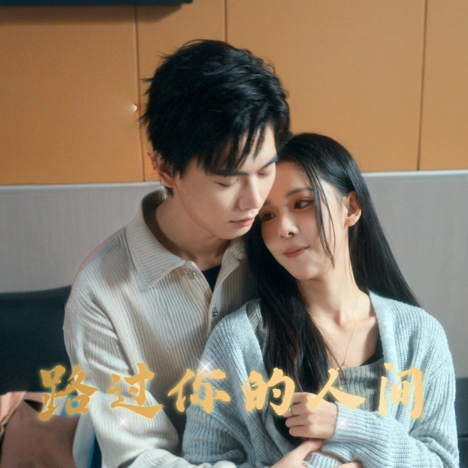 路过你的人间 第1-20集