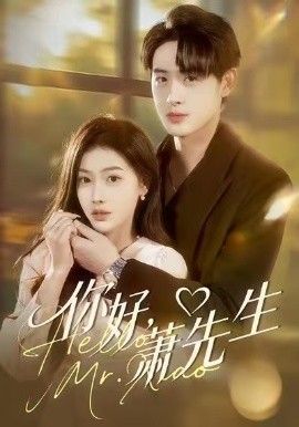 你好，萧先生(全集)