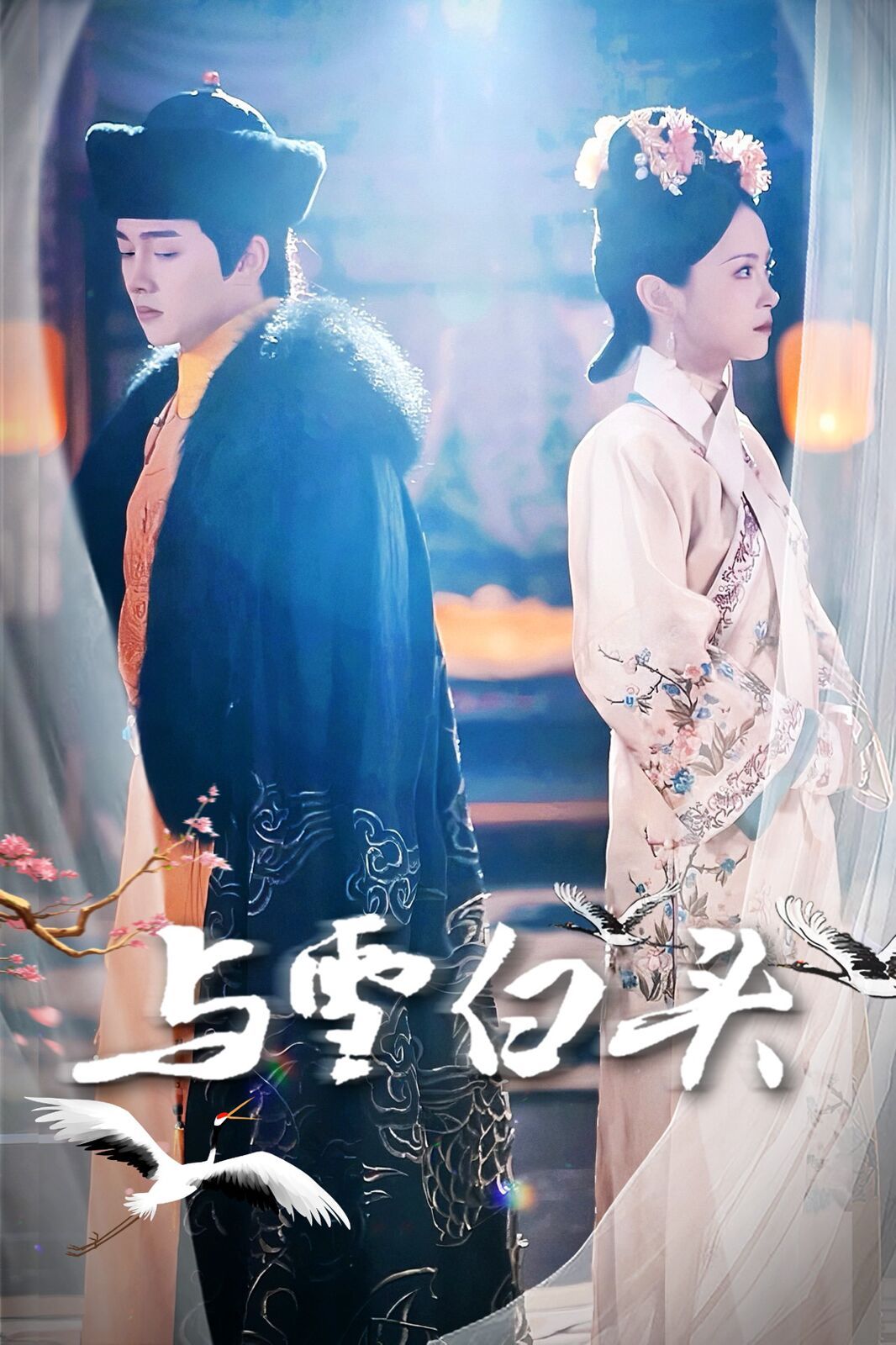 与雪白头 第41-60集