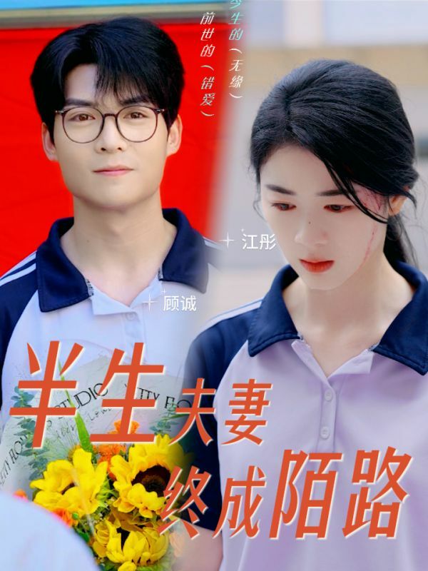 半生夫妻终成陌路 第41-60集完结(大结局)