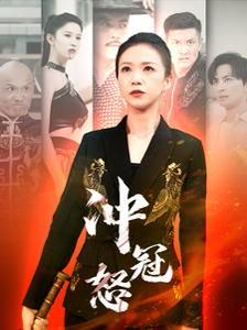 冲冠怒 第61-80集