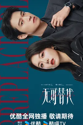 无可替代